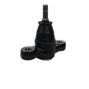 سیبک طبق کیا سیبک طبق