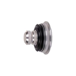 سیبک طبق ریو