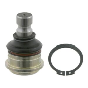 سیبک طبق سانتافه