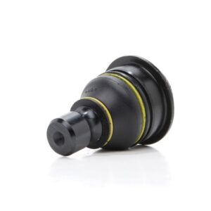 سیبک طبق موراتو 2008